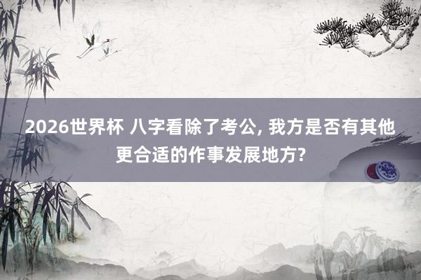 2026世界杯 八字看除了考公, 我方是否有其他更合适的作事发展地方?