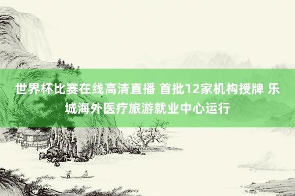 世界杯比赛在线高清直播 首批12家机构授牌 乐城海外医疗旅游就业中心运行