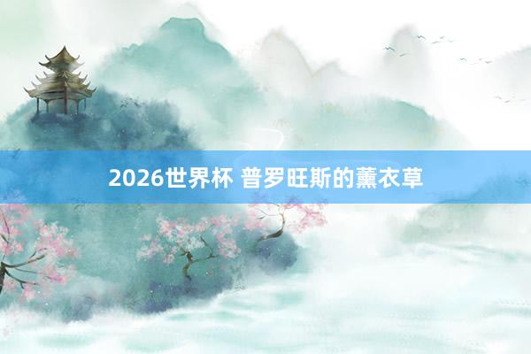 2026世界杯 普罗旺斯的薰衣草