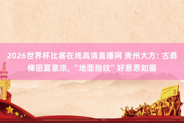 2026世界杯比赛在线高清直播网 贵州大方: 古彝梯田夏意浓， “地面指纹”好意思如画