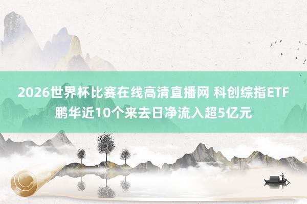 2026世界杯比赛在线高清直播网 科创综指ETF鹏华近10个来去日净流入超5亿元