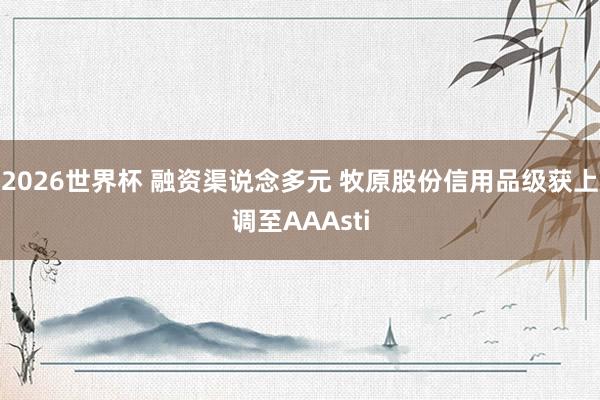 2026世界杯 融资渠说念多元 牧原股份信用品级获上调至AAAsti