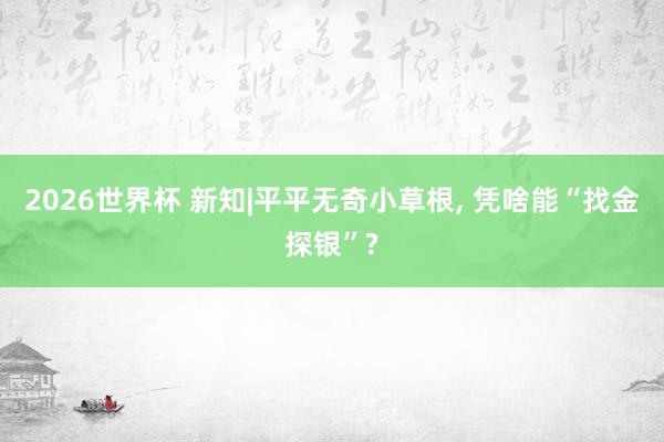 2026世界杯 新知|平平无奇小草根, 凭啥能“找金探银”?