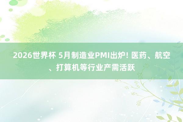 2026世界杯 5月制造业PMI出炉! 医药、航空、打算机等行业产需活跃