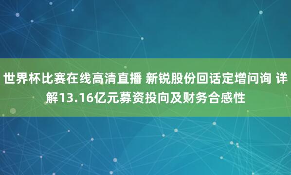 世界杯比赛在线高清直播 新锐股份回话定增问询 详解13.16亿元募资投向及财务合感性