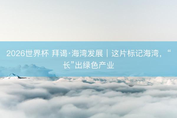 2026世界杯 拜谒·海湾发展|这片标记海湾,“长”出绿色产业